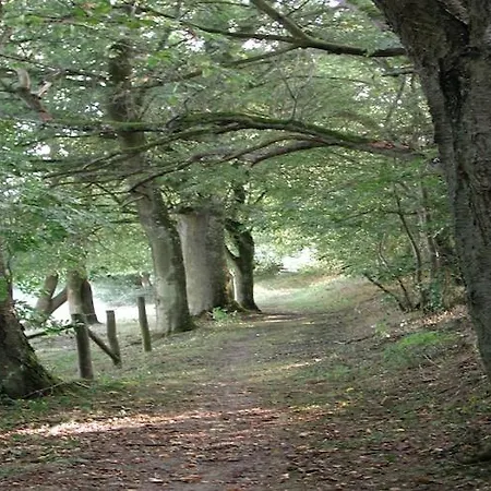 In With Scenic Views * Gransdorf