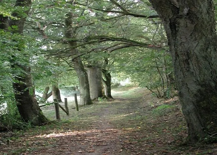 In With Scenic Views * Gransdorf